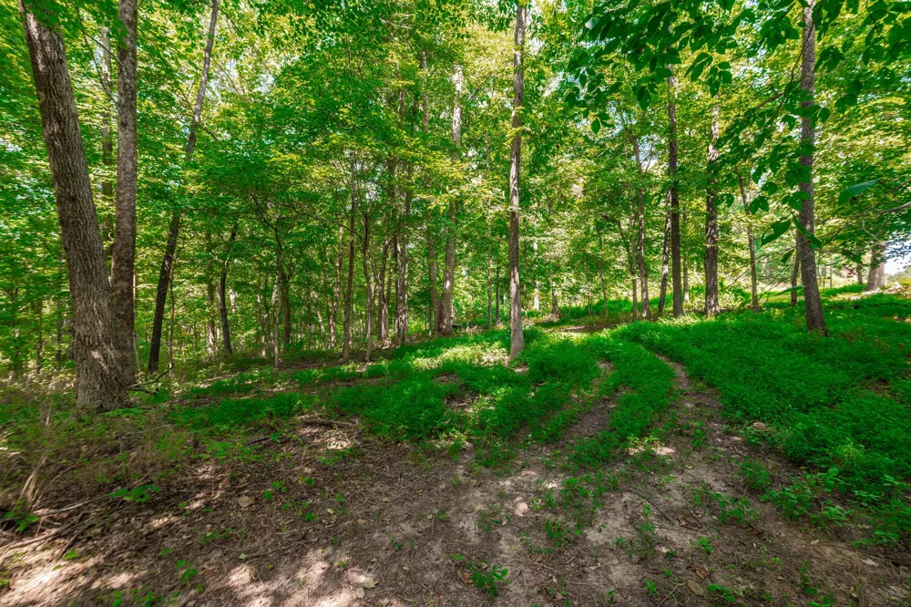 2313 Little Bartons Creek Rd Cumberland Furnace, TN 37051