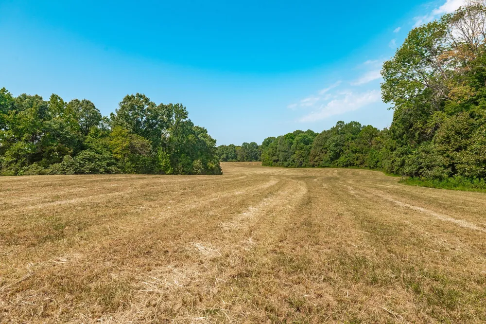 2313 Little Bartons Creek Rd Cumberland Furnace, TN 37051