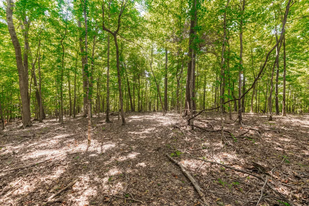 2313 Little Bartons Creek Rd Cumberland Furnace, TN 37051