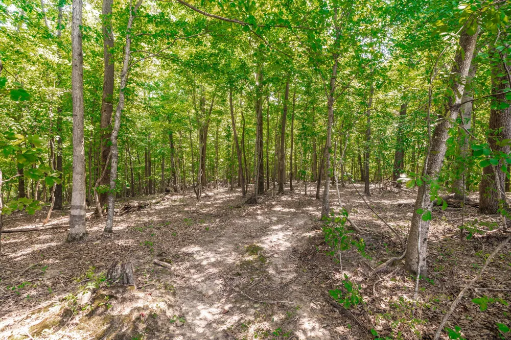 2313 Little Bartons Creek Rd Cumberland Furnace, TN 37051