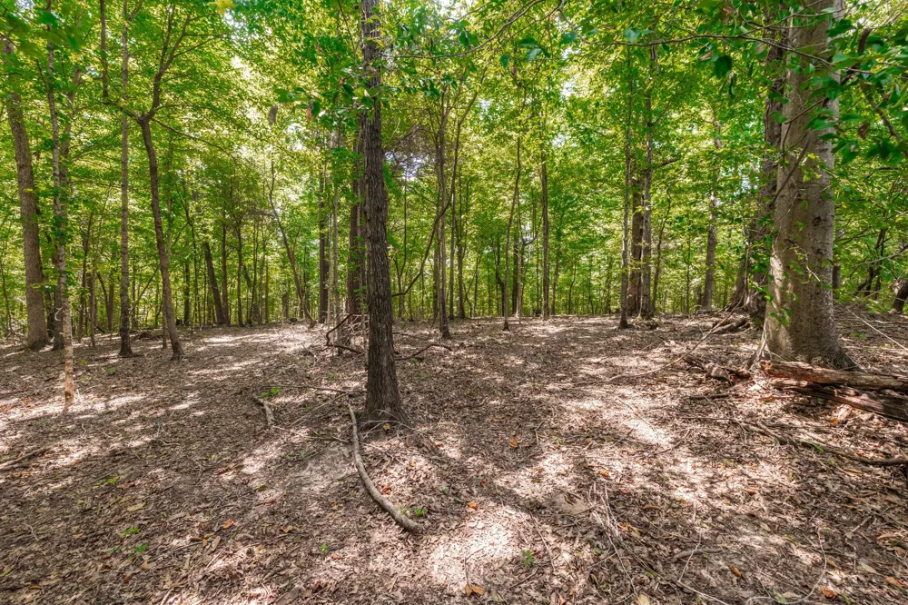 2313 Little Bartons Creek Rd Cumberland Furnace, TN 37051