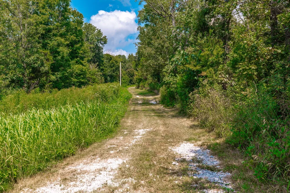 2313 Little Bartons Creek Rd Cumberland Furnace, TN 37051