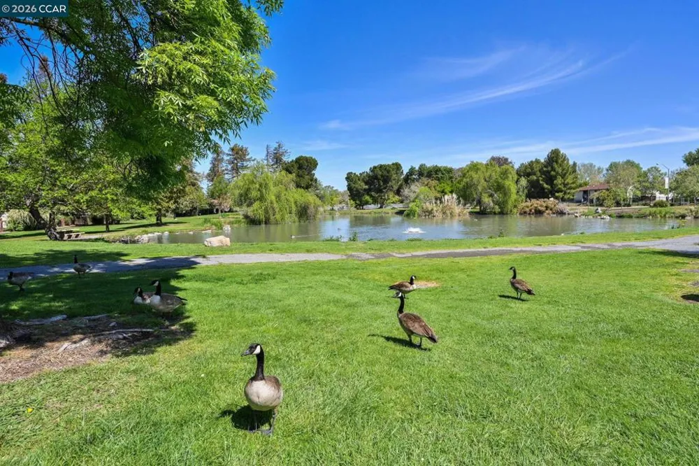 3712 Los Flores Ave Concord, CA 94519
