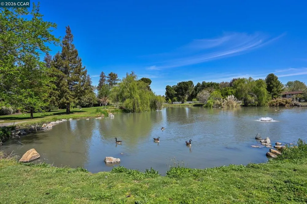 3712 Los Flores Ave Concord, CA 94519