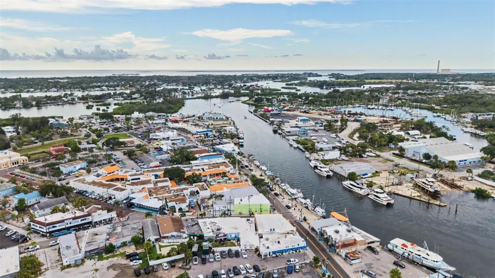 704 BAYSHORE DRIVE Tarpon Springs, FL 34689