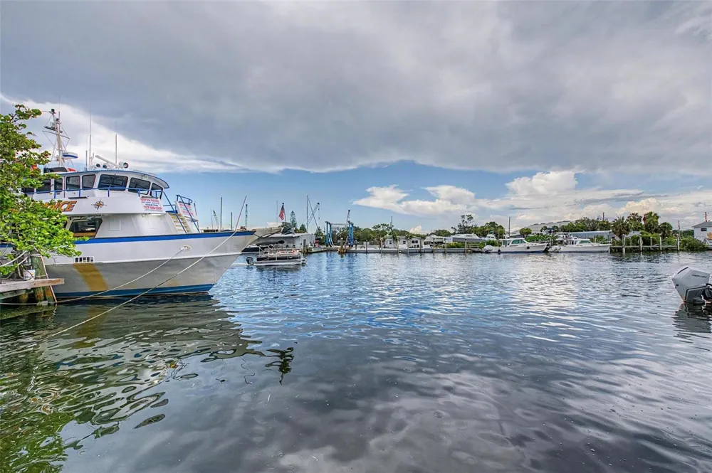 704 BAYSHORE DRIVE Tarpon Springs, FL 34689