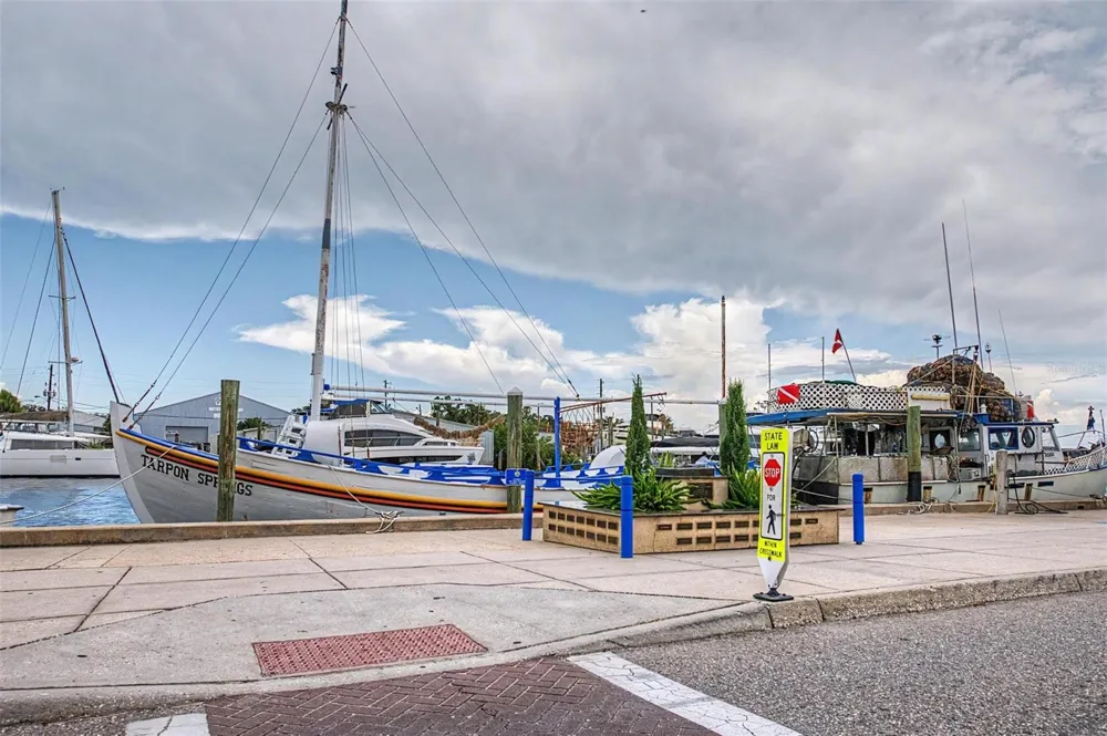 704 BAYSHORE DRIVE Tarpon Springs, FL 34689