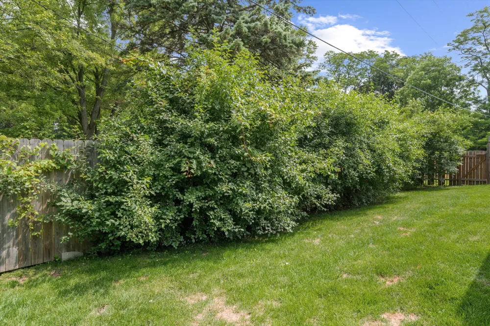 1 Maple Village Court Ann Arbor City, MI 48103