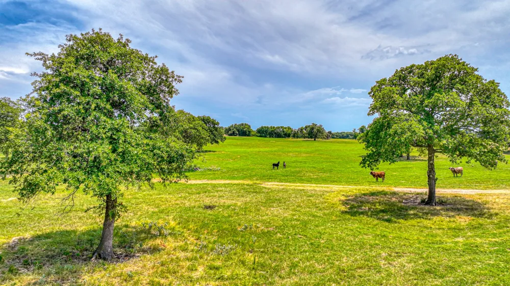 Three Quarter Loop Poolville, TX 76487