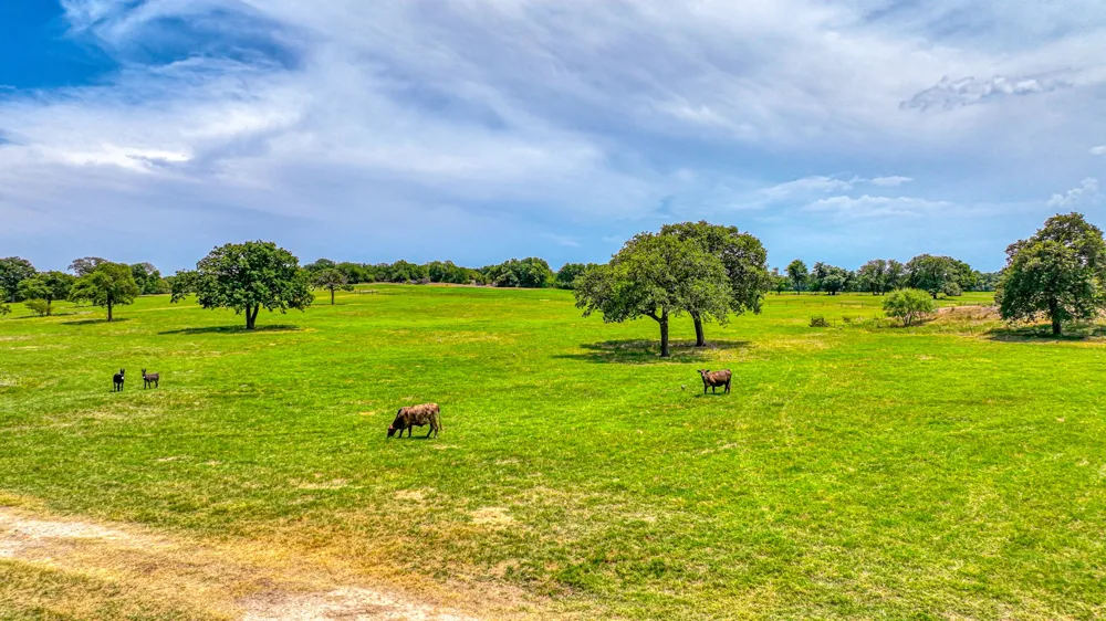 Three Quarter Loop Poolville, TX 76487
