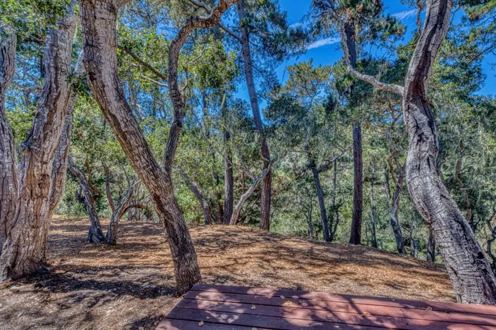 129 Littlefield Road Monterey, CA 93940