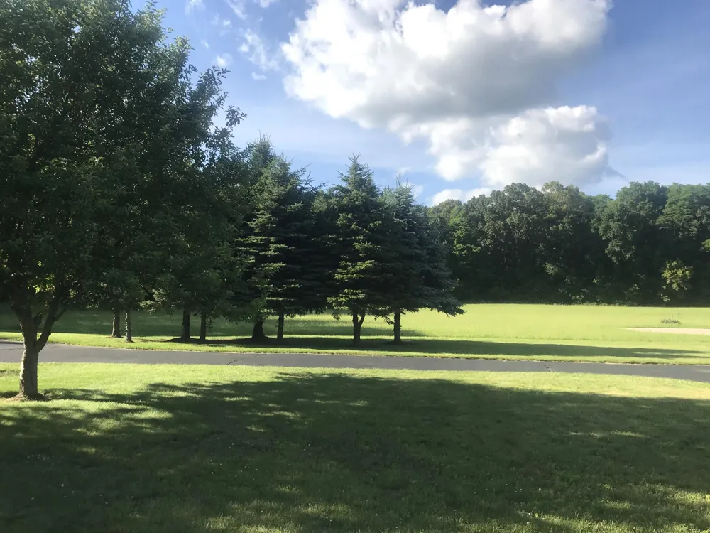 223 Leo Drive Burlington, MI 49029
