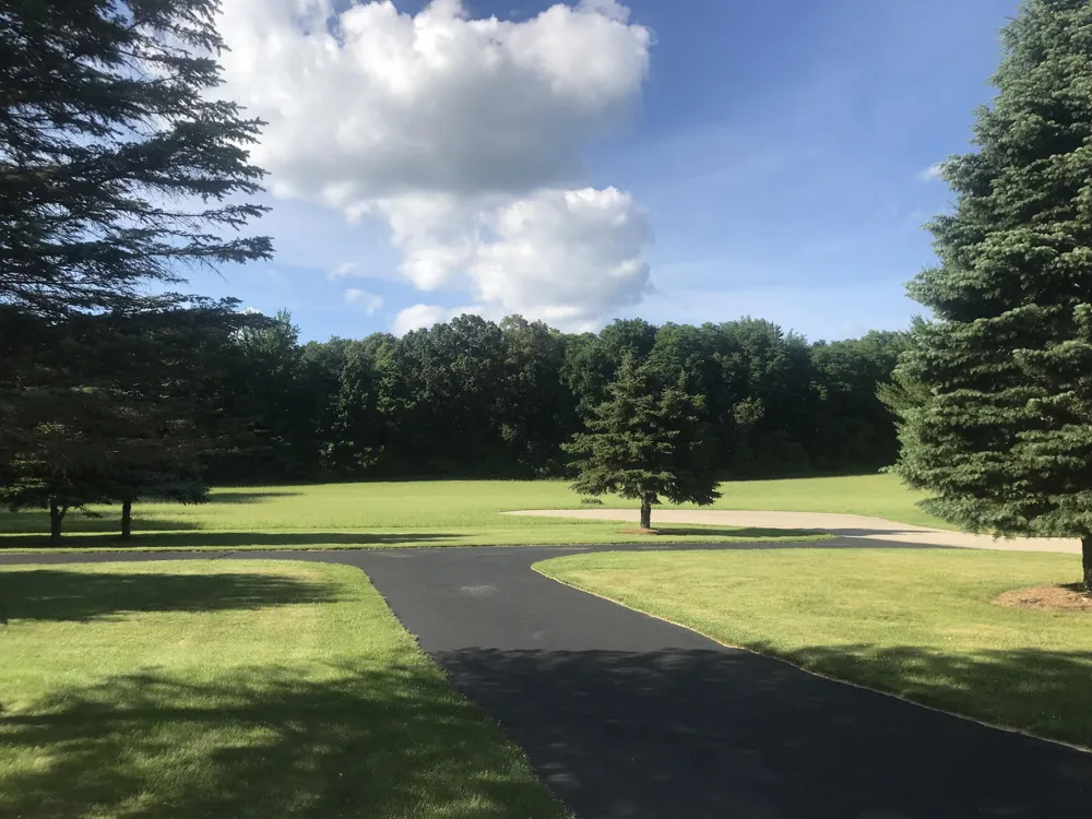 223 Leo Drive Burlington, MI 49029
