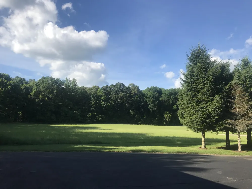 223 Leo Drive Burlington, MI 49029