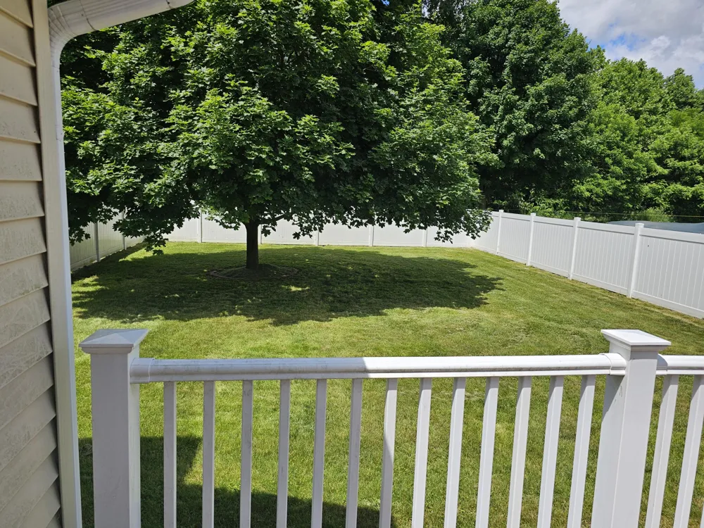 223 Leo Drive Burlington, MI 49029