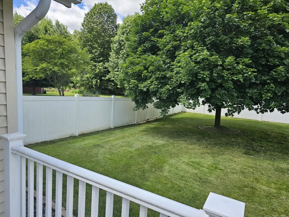 223 Leo Drive Burlington, MI 49029