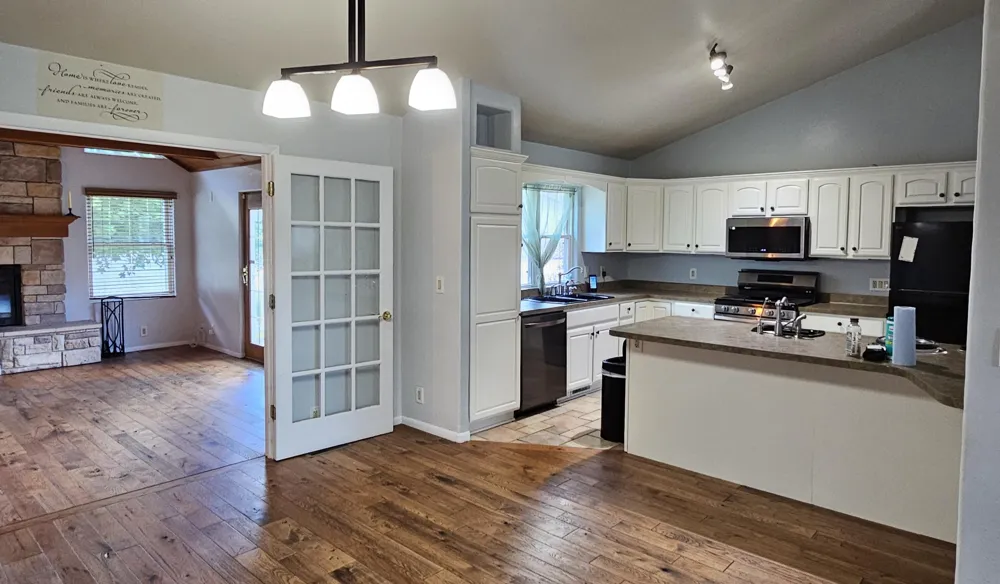 223 Leo Drive Burlington, MI 49029