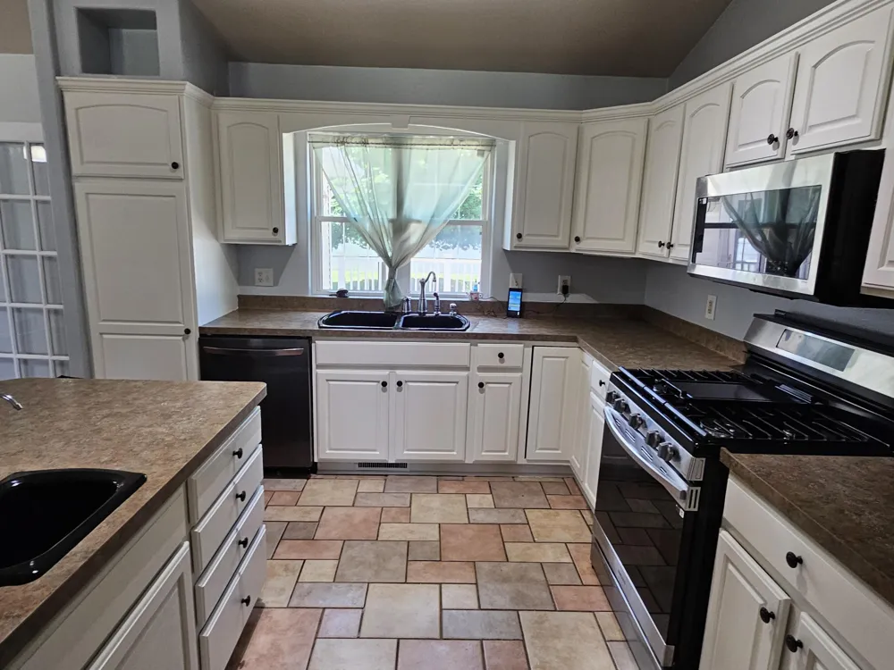223 Leo Drive Burlington, MI 49029