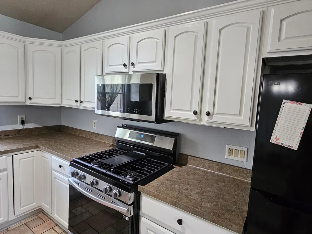 223 Leo Drive Burlington, MI 49029