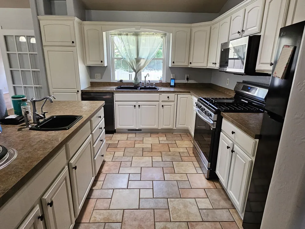 223 Leo Drive Burlington, MI 49029