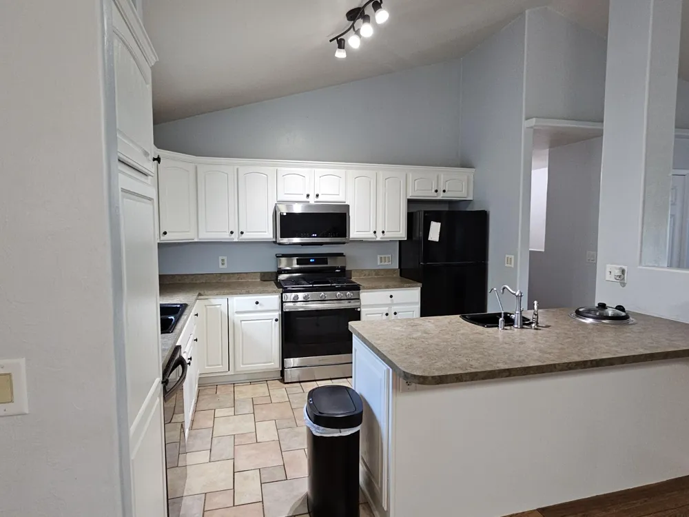 223 Leo Drive Burlington, MI 49029