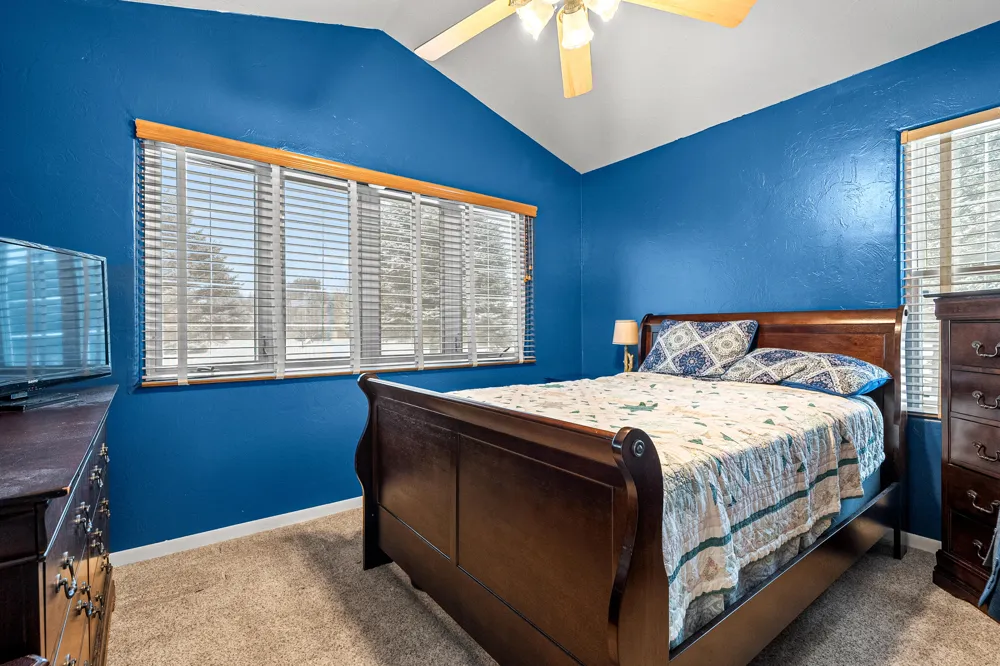 223 Leo Drive Burlington, MI 49029