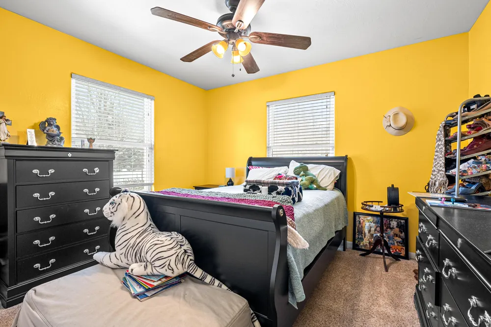 223 Leo Drive Burlington, MI 49029