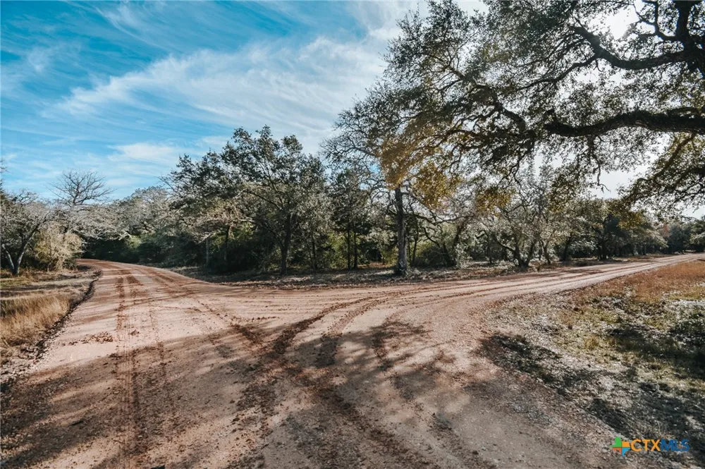 Vitek Lane Inez, TX 77968