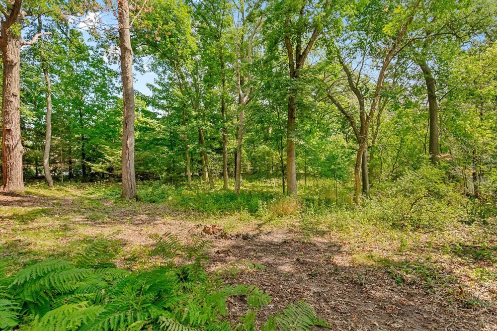 1200 Hallam Avenue Mahtomedi, MN 55115