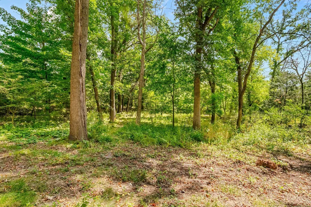 1200 Hallam Avenue Mahtomedi, MN 55115