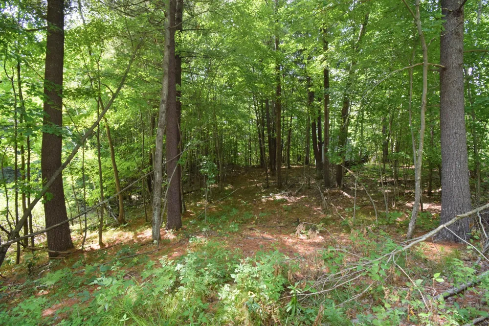 4646 Whitetail Path Webster, WI 54893