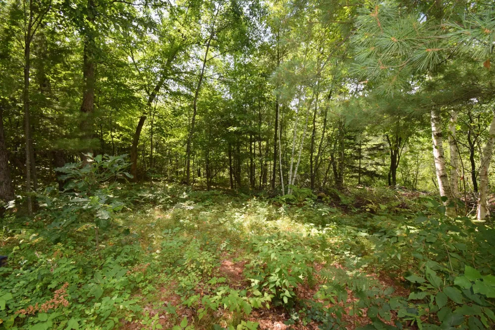 4646 Whitetail Path Webster, WI 54893