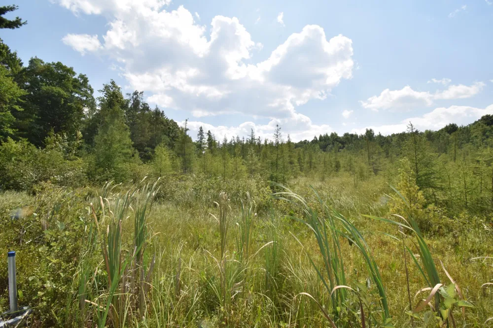 4646 Whitetail Path Webster, WI 54893