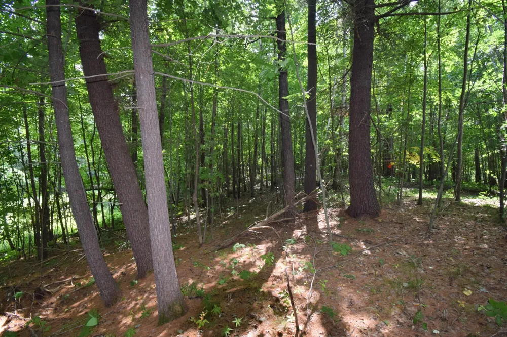 4646 Whitetail Path Webster, WI 54893