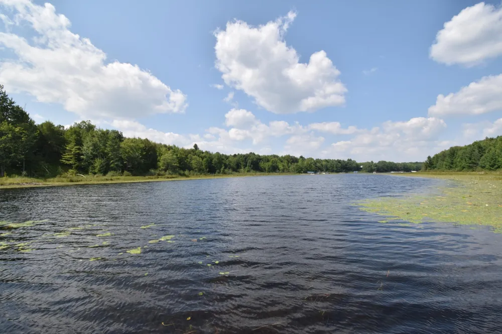 4646 Whitetail Path Webster, WI 54893