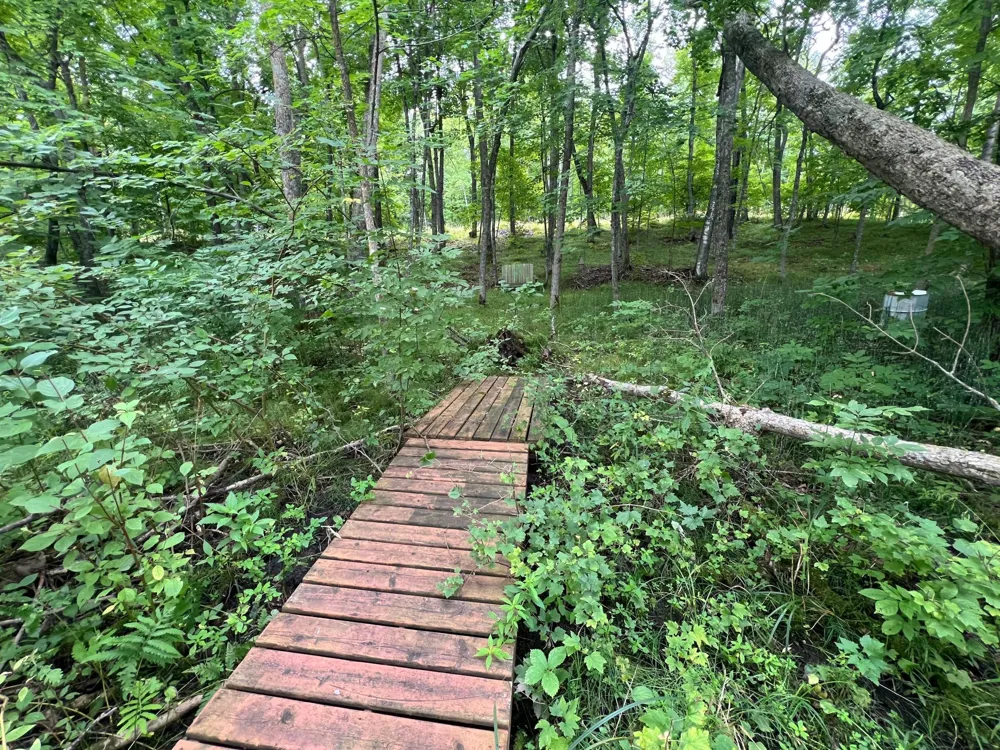 TBD Misty Trl Richville, MN 56576