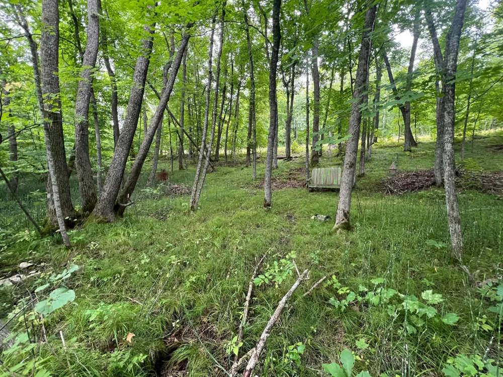 TBD Misty Trl Richville, MN 56576