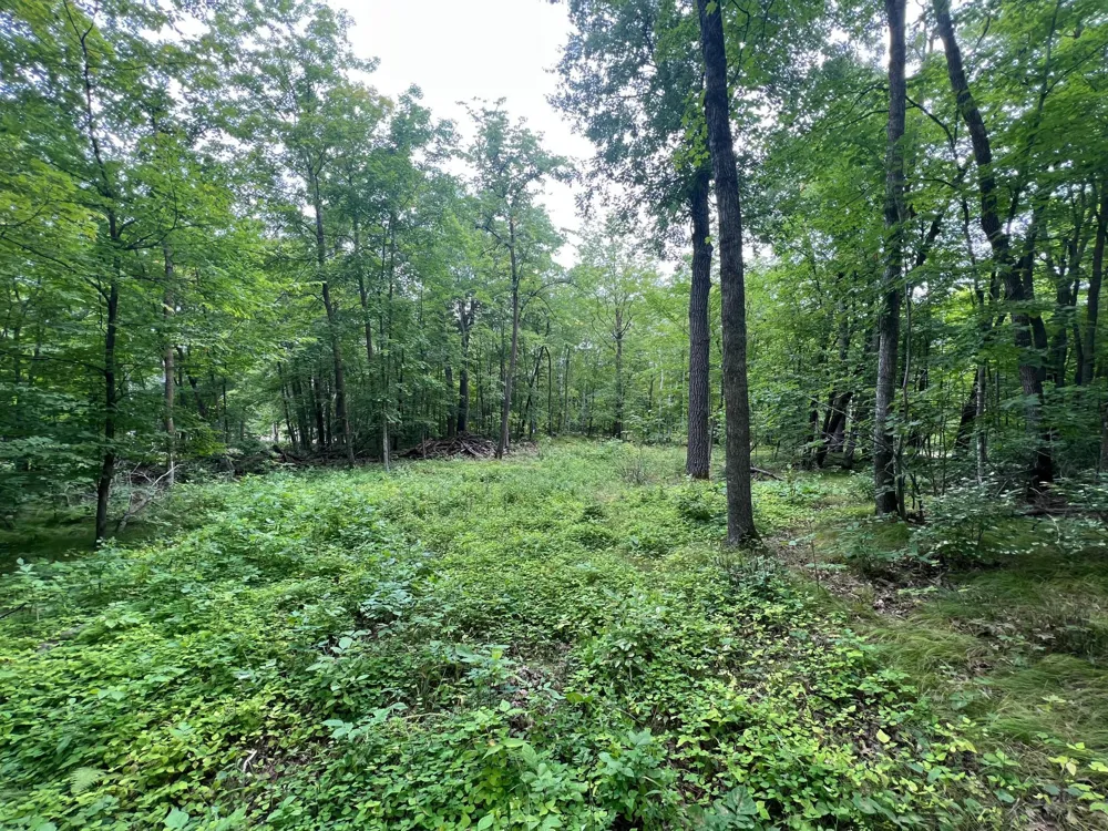 TBD Misty Trl Richville, MN 56576