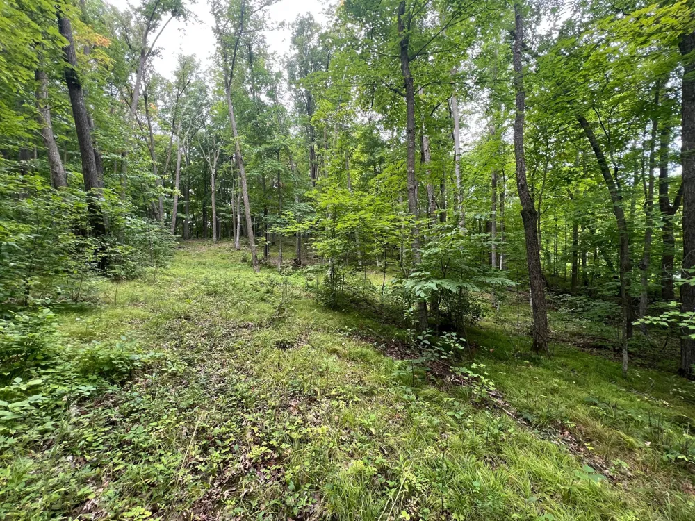 TBD Misty Trl Richville, MN 56576