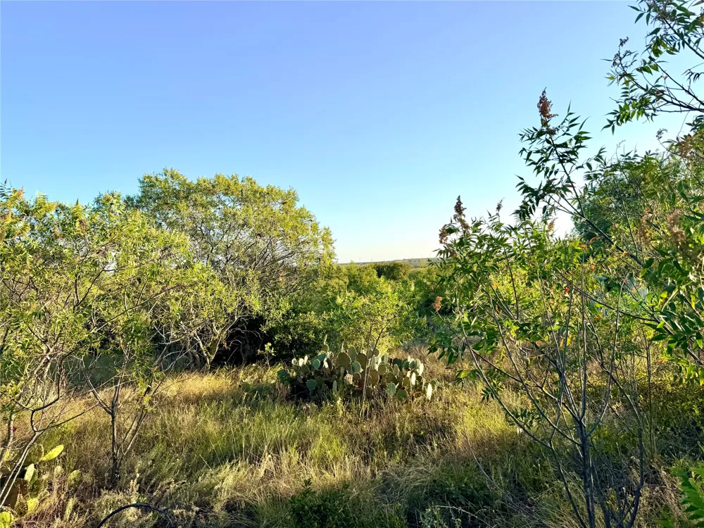 37 Pr 224 Goldthwaite, TX 76844