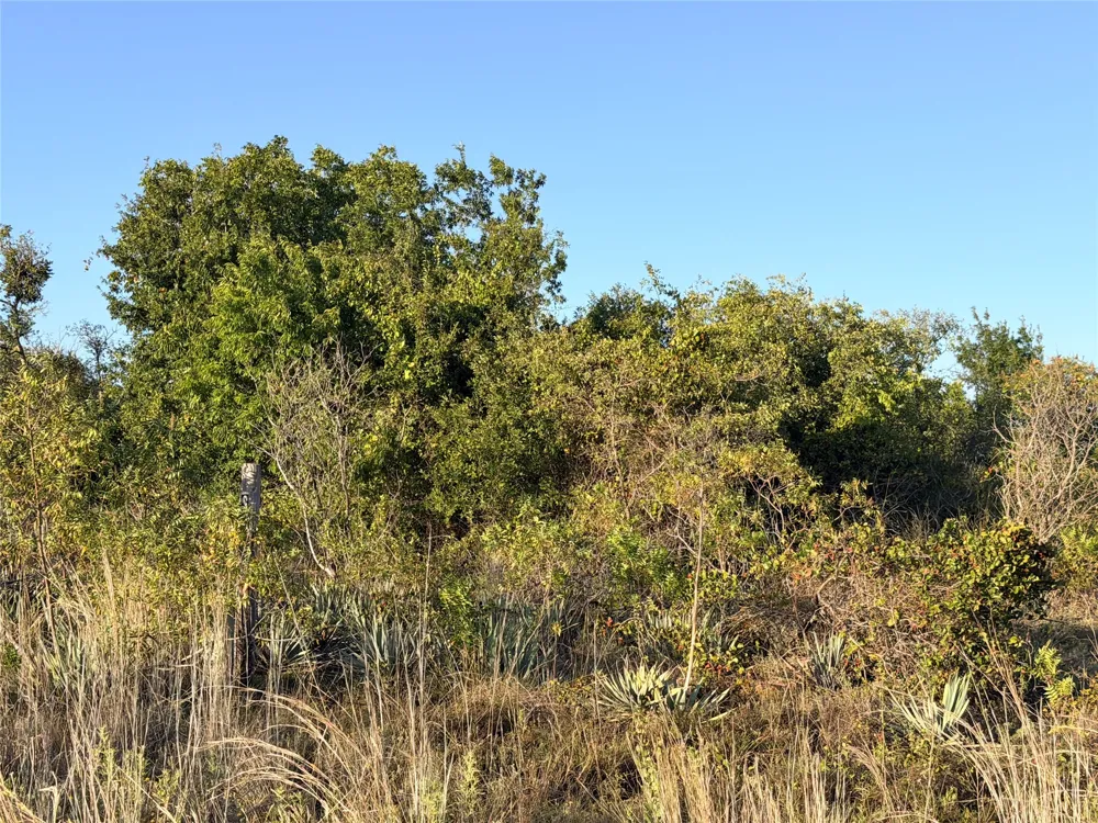 37 Pr 224 Goldthwaite, TX 76844