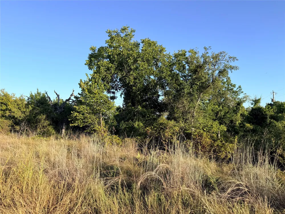 37 Pr 224 Goldthwaite, TX 76844