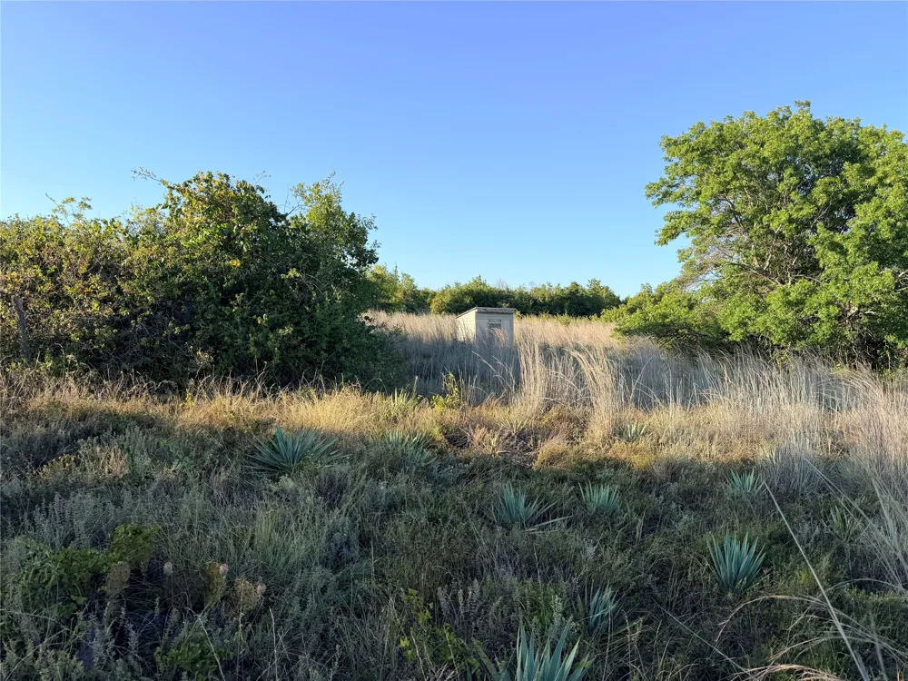 37 Pr 224 Goldthwaite, TX 76844