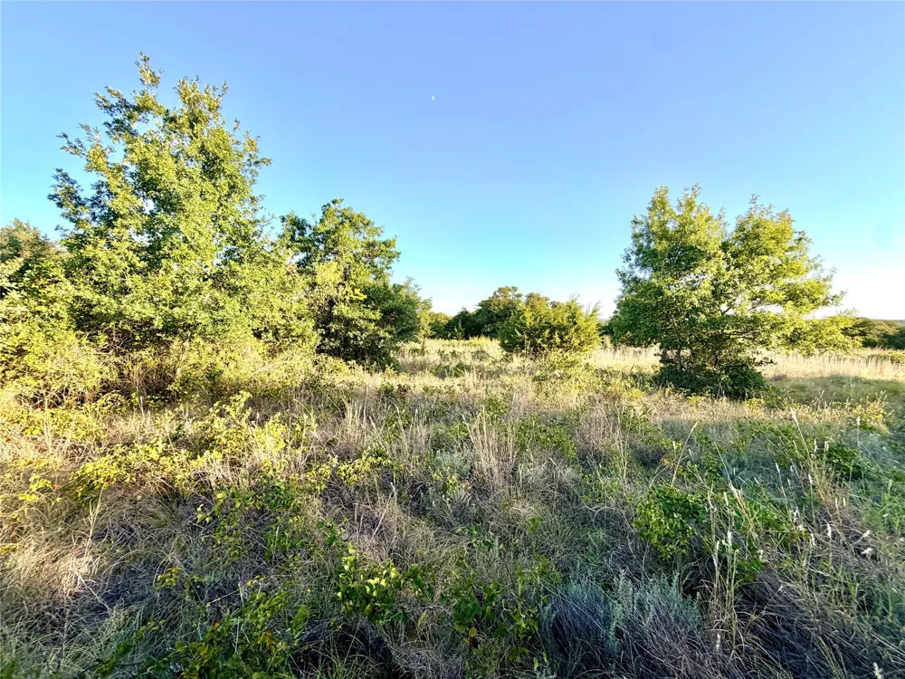 37 Pr 224 Goldthwaite, TX 76844