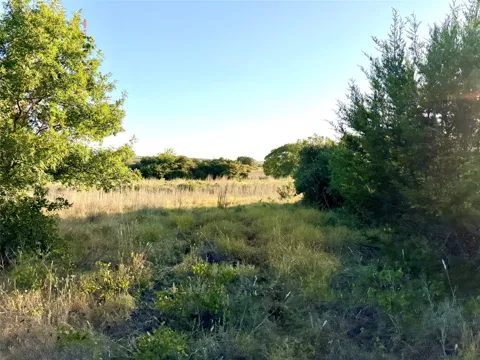 37 Pr 224