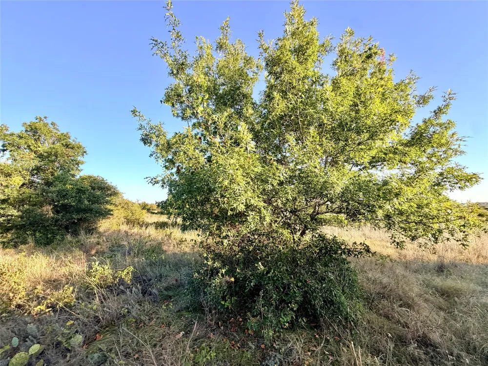 37 Pr 224 Goldthwaite, TX 76844