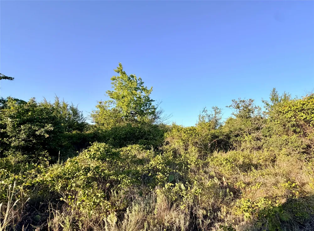 37 Pr 224 Goldthwaite, TX 76844