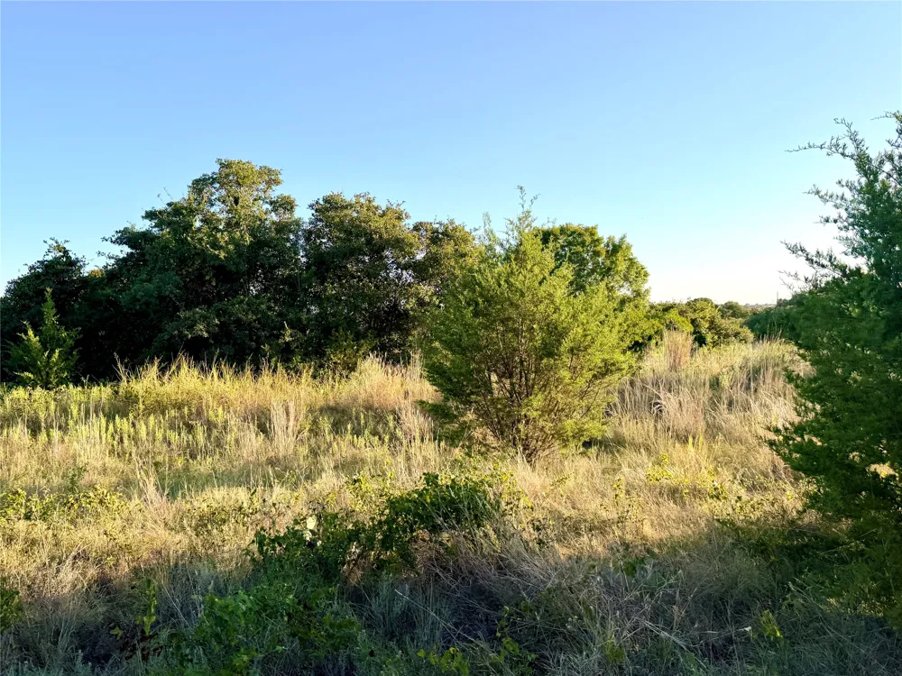 37 Pr 224 Goldthwaite, TX 76844