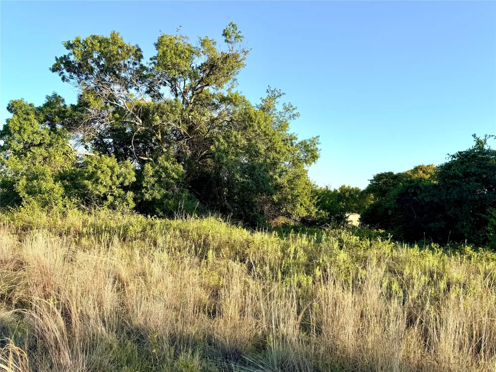 37 Pr 224 Goldthwaite, TX 76844