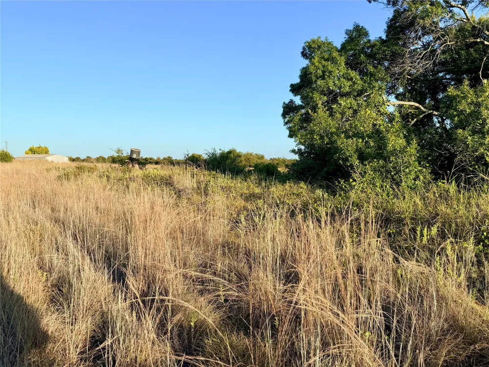 37 Pr 224 Goldthwaite, TX 76844